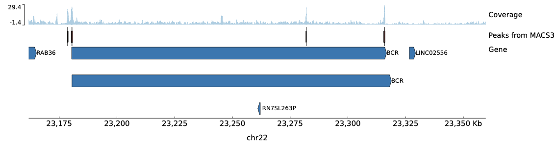 ATAC-Seq Peak Visualization