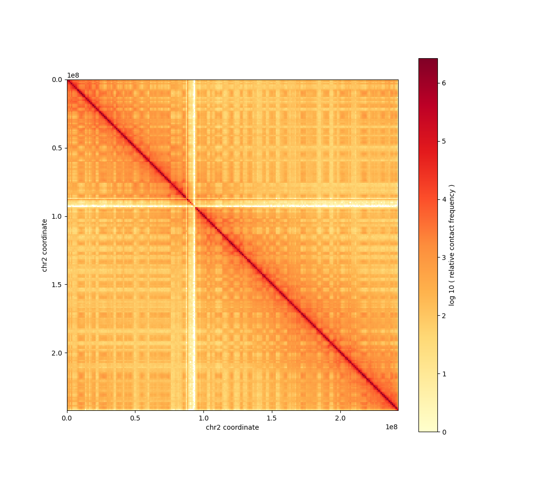 chromosome 2 contact map